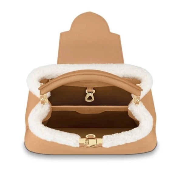 Limited Edition Louis Vuitton Capucines BB Bag - Picture 7 of 10